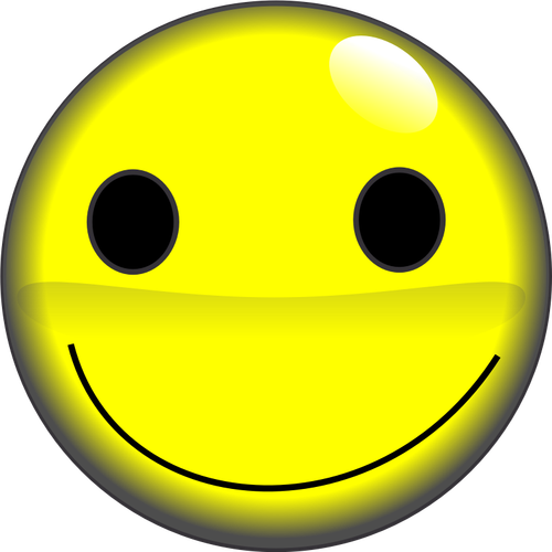 2D smiley face vector image