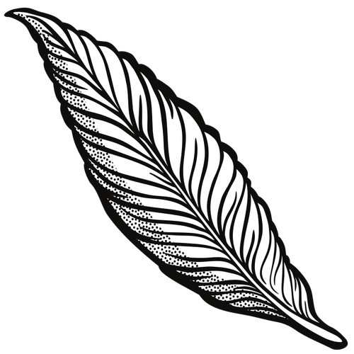 Regularidad puerta Extracto Outlined feather | Public domain vectors
