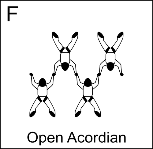 스카이 다이빙에서 오픈 acordian