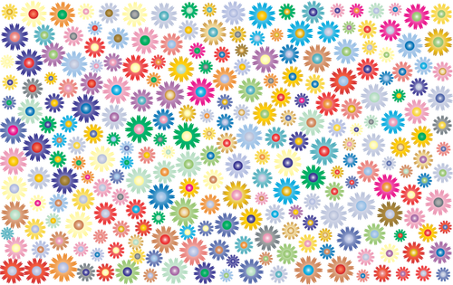 Many colored flowers