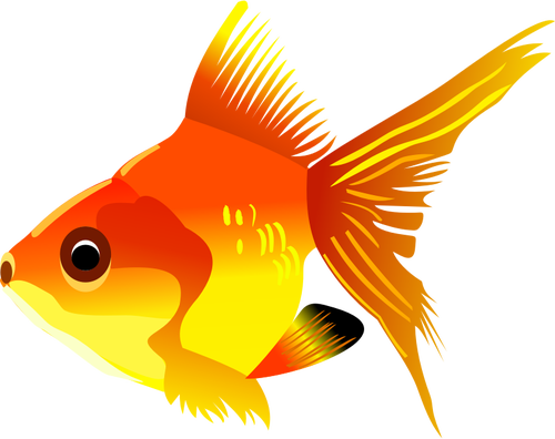 Goldfish vector desen