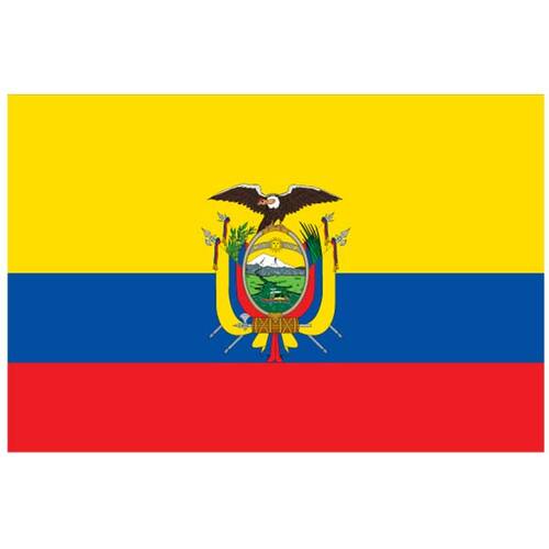矢量旗帜的厄瓜多尔