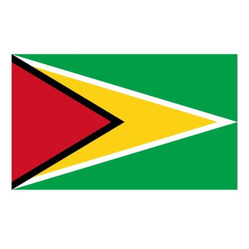 Guyanas flagga