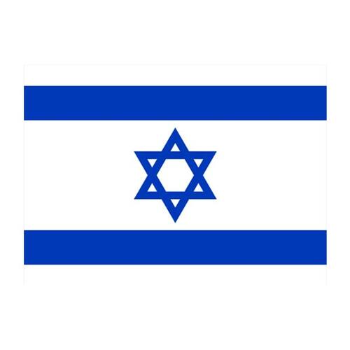 Vector flag of Israel