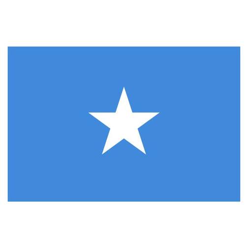 Vector vlag van Somalië