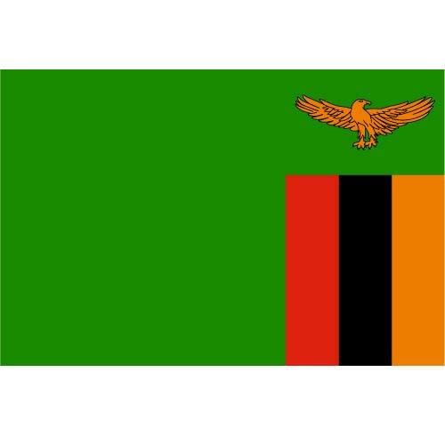 矢量旗帜的赞比亚
