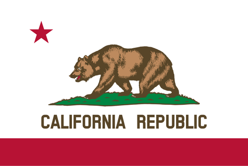 Flag of California Republic vector image