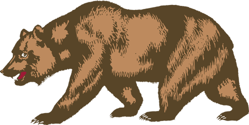 Zoo bear vector image