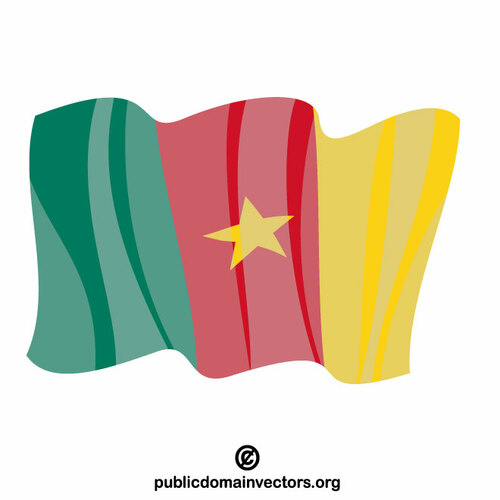 카메룬의 국기