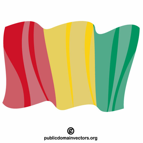 기니의 국기