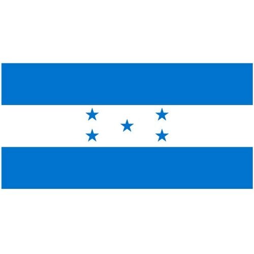 Vector flagg Honduras