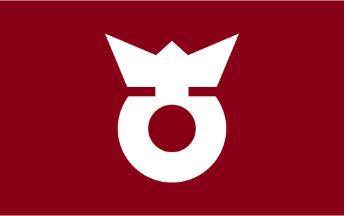 Flag of Koza, Wakayama