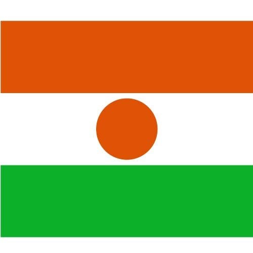Vektör Nijer Cumhuriyeti bayrağı