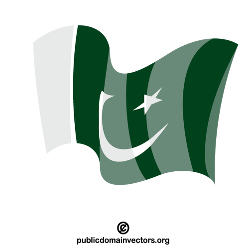 Flagge von Pakistan Vektor