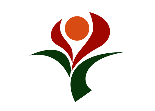 Flag of Soo, Kagoshima