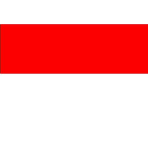 דגל הרפובליקה העממית של וינה