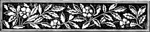 Horizontale floral banner vectorillustratie
