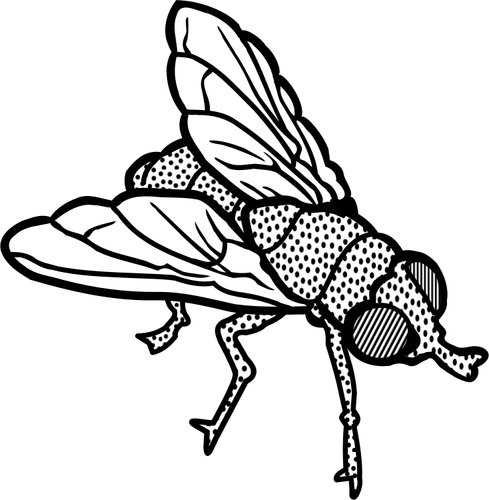 Fly line art vector clip art