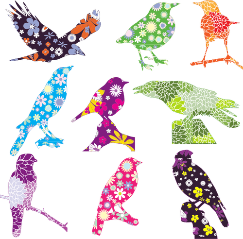 Vektorové grafiky výběru ptáků s květinovým vzorem