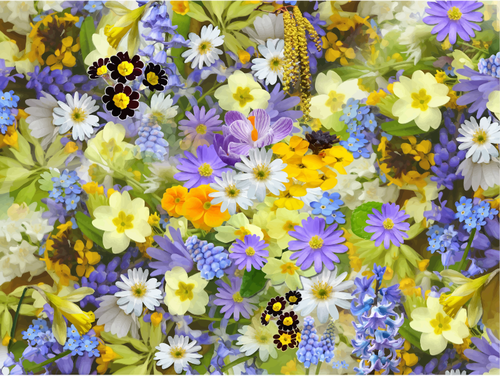 Bunte Blumen Hintergrund