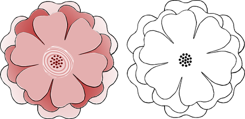 اثنين من الزهور