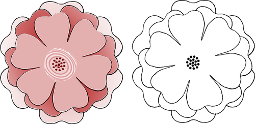 Two flowers