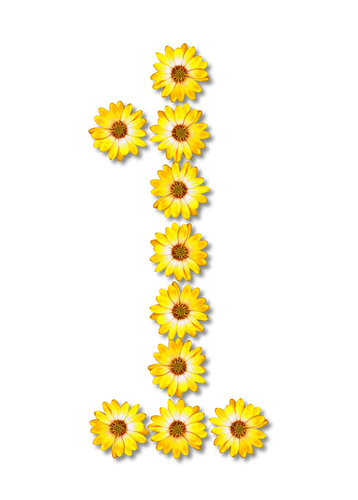 Numéral floral