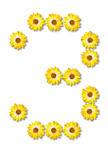 Çiçek sayısı 3