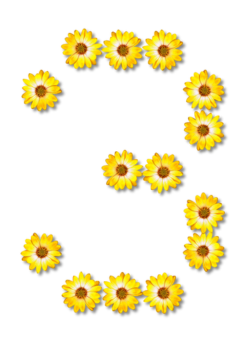 Floral numéro 3