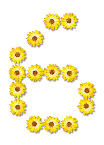 花卉编号6