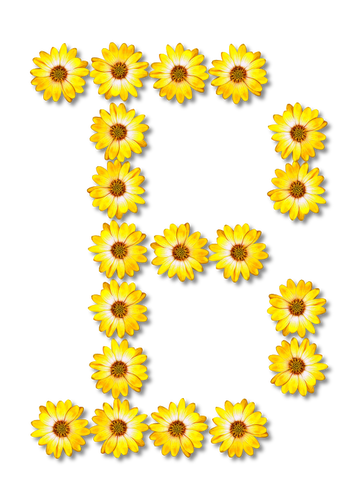 Flori litera D