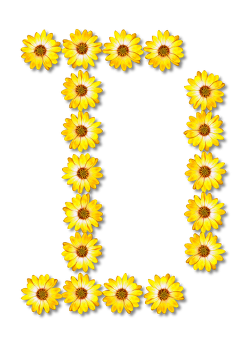 Çiçek D harfi