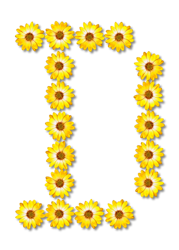 Floral D letter