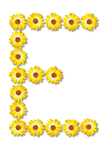 Floral letter E