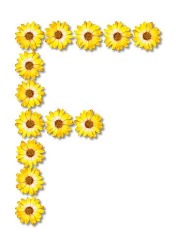 Floral letter F