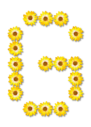 字母 G 在花