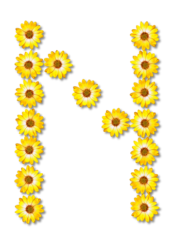 Kwiatowy literę N