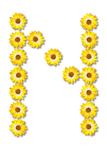 N floral brev