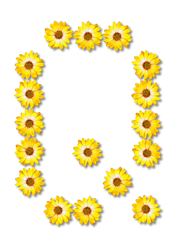 Q gemaakt van zonnebloemen