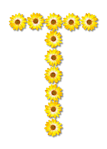 Fleuri lettre T