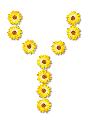 Květinové písmeno Y