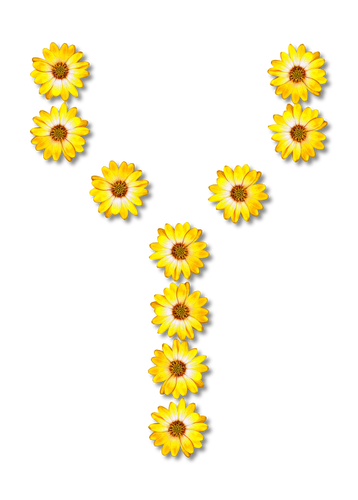 Floral letter Y