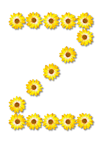 फूल में अक्षर Z