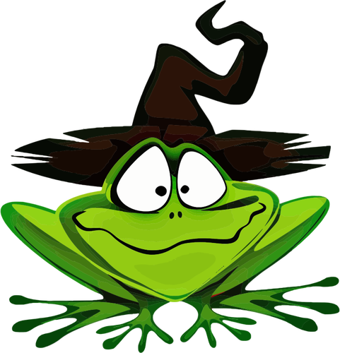 המכשפה צפרדע