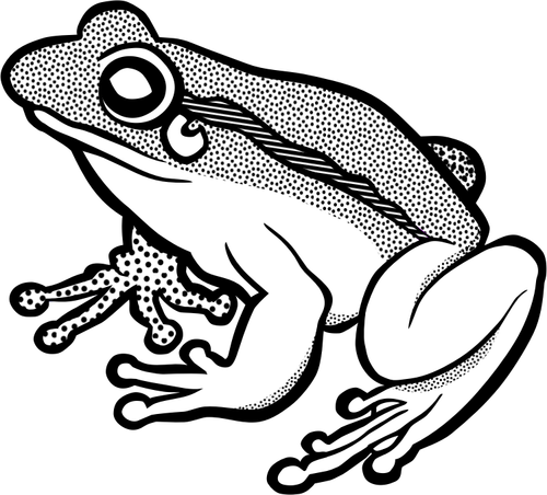 Vector clip art of waiting frog in black and white