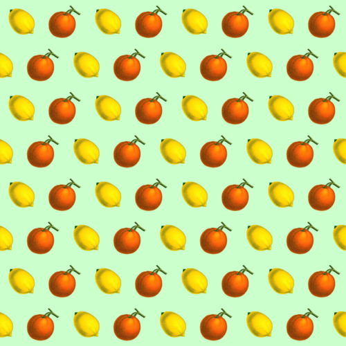 柑橘类水果图案