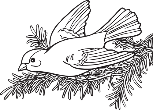 Disegno di uccello Cardellino salice vettoriale