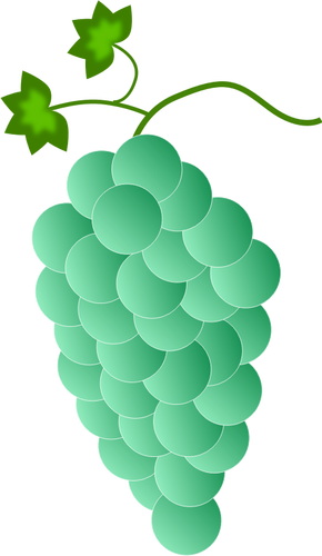 Green grapes