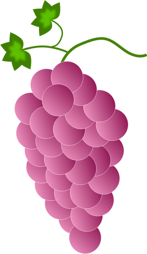 Uvas rosadas