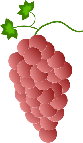 熟れた葡萄